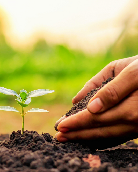 START – 7 giorni per sbloccare la tua energia